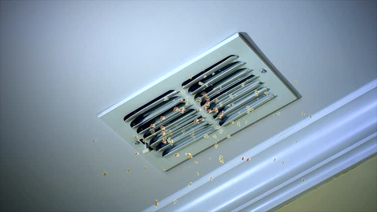 Professional Airduct Cleaning in MI