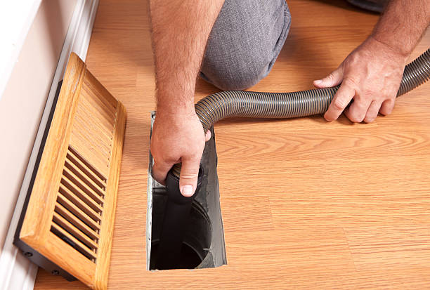 Best Dryer Vent Cleaning Services  in Cass City, MI