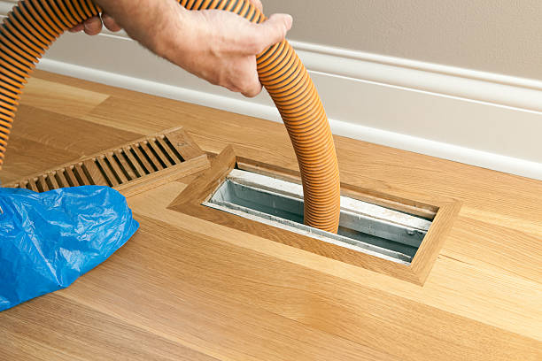 Best Ductwork Cleaning Services  in Cass City, MI