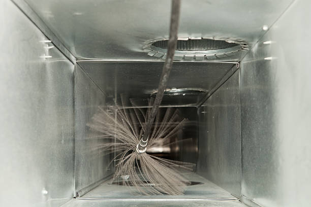 Best Air Vent Cleaning Services  in Cass City, MI