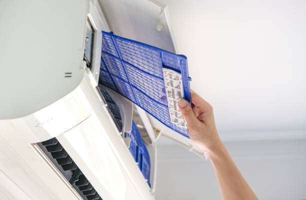 Best Local Air Duct Cleaning Services  in Cass City, MI