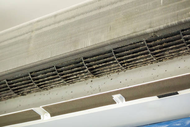Best Home Air Vent Cleaning  in Cass City, MI