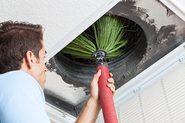 Best HVAC Maintenance and Cleaning  in Cass City, MI