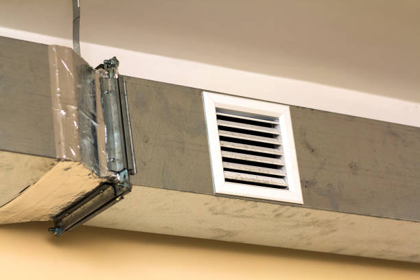 Best Affordable Duct Cleaning Services  in Cass City, MI