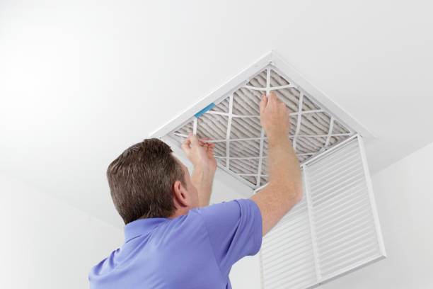 Best Dryer Vent Cleaning Services  in Cass City, MI